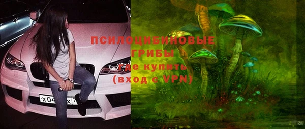 сатива Балабаново